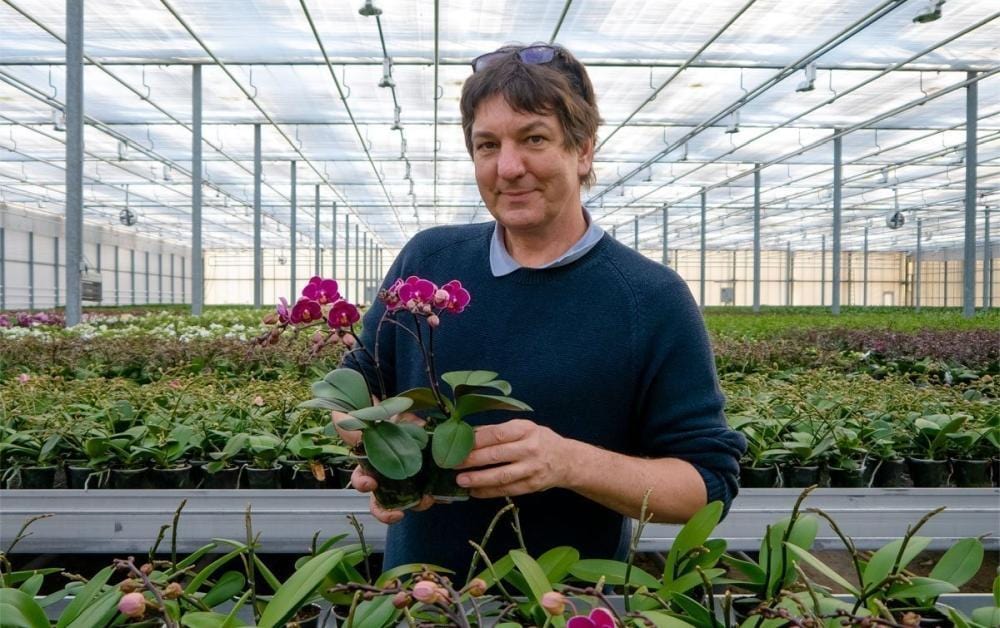 Show the breadth of the grower's orchid range at a glance, using the merchant's own imagery