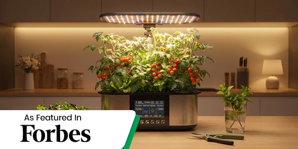 Editorial illustration for LetPot Review: What the Merchant's Own Information Says About Its Indoor Gardens